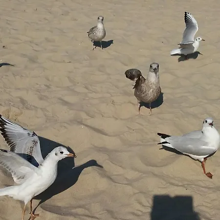 アパート Dorota-lidia