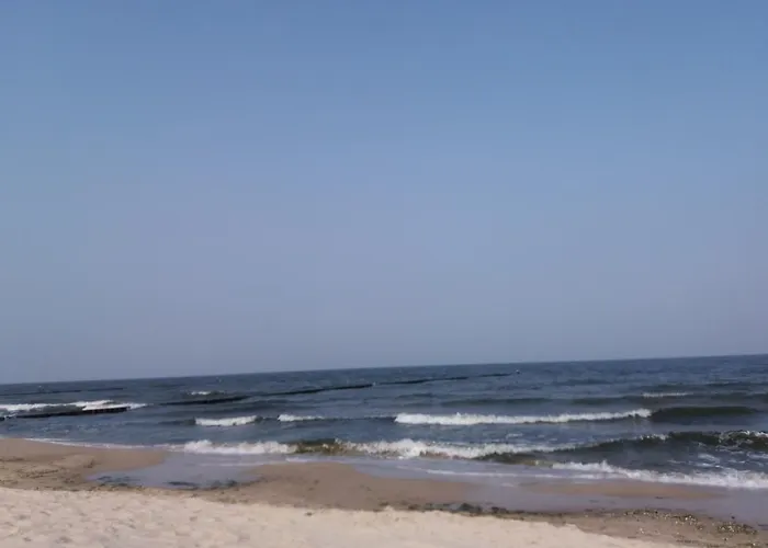 Dorota-lidia * Свиноуйсьце